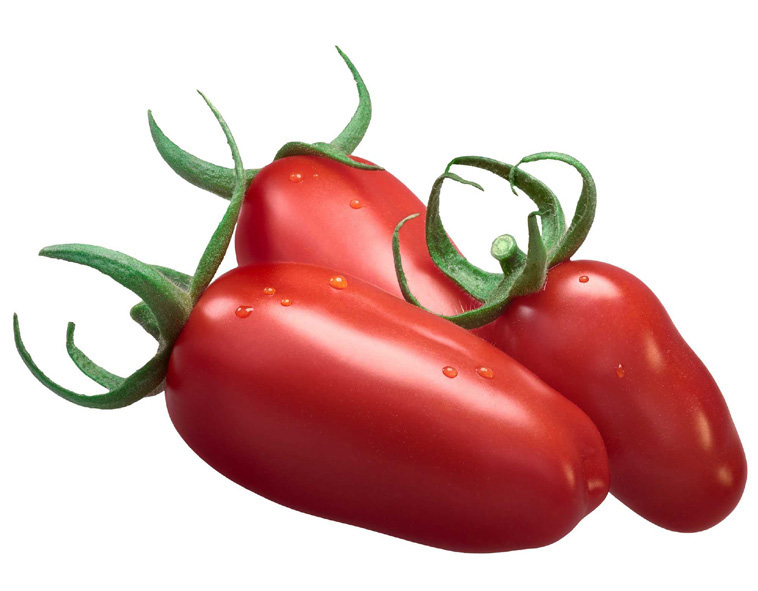 Elongated tomato
