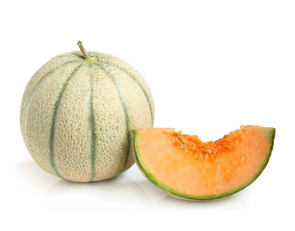 Cantaloupe melon